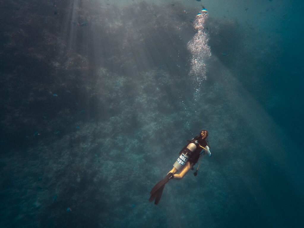 Person Diving on Ocean