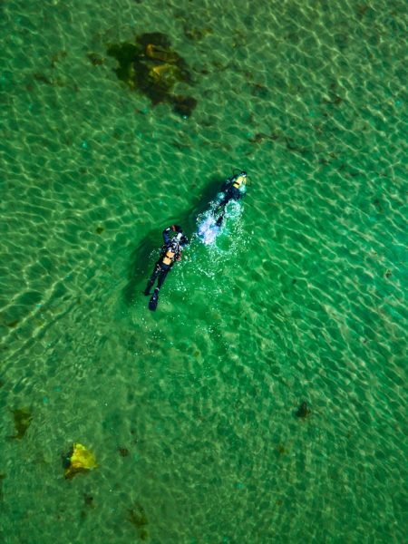 pexels-photo-27331212 An aerial view of two people swimming in the ocean